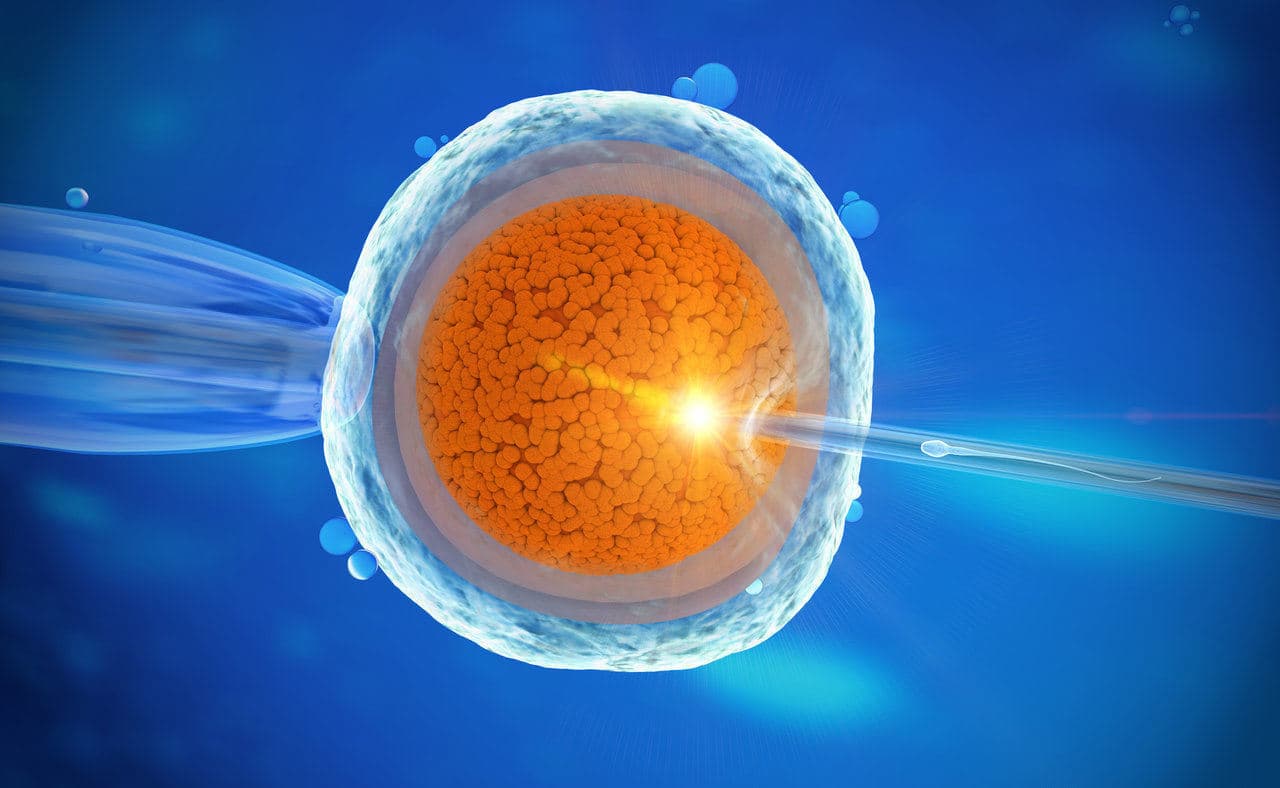 Cytoplasmisk overføring – suksessrate? Hvordan fungerer det?