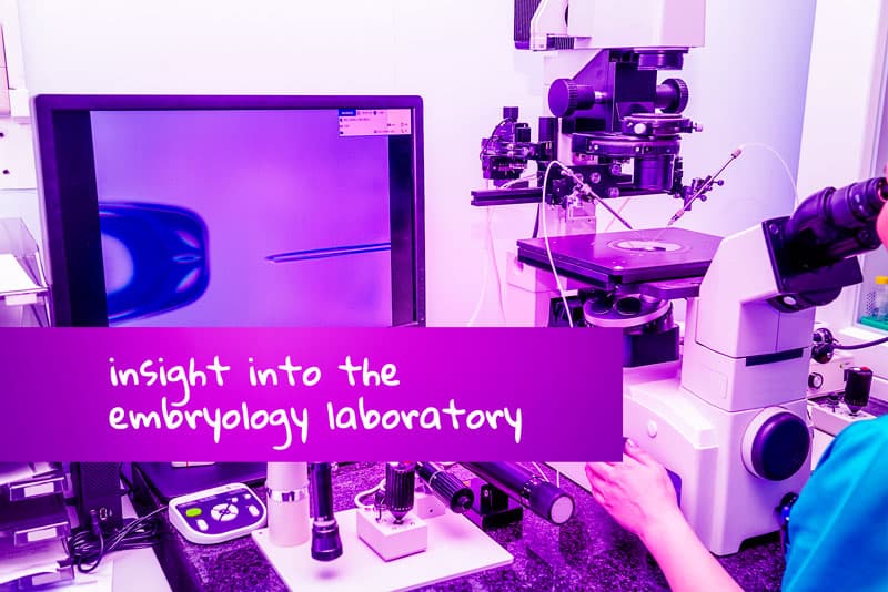 IVF embryoutvikling – innsikt i embryologilab