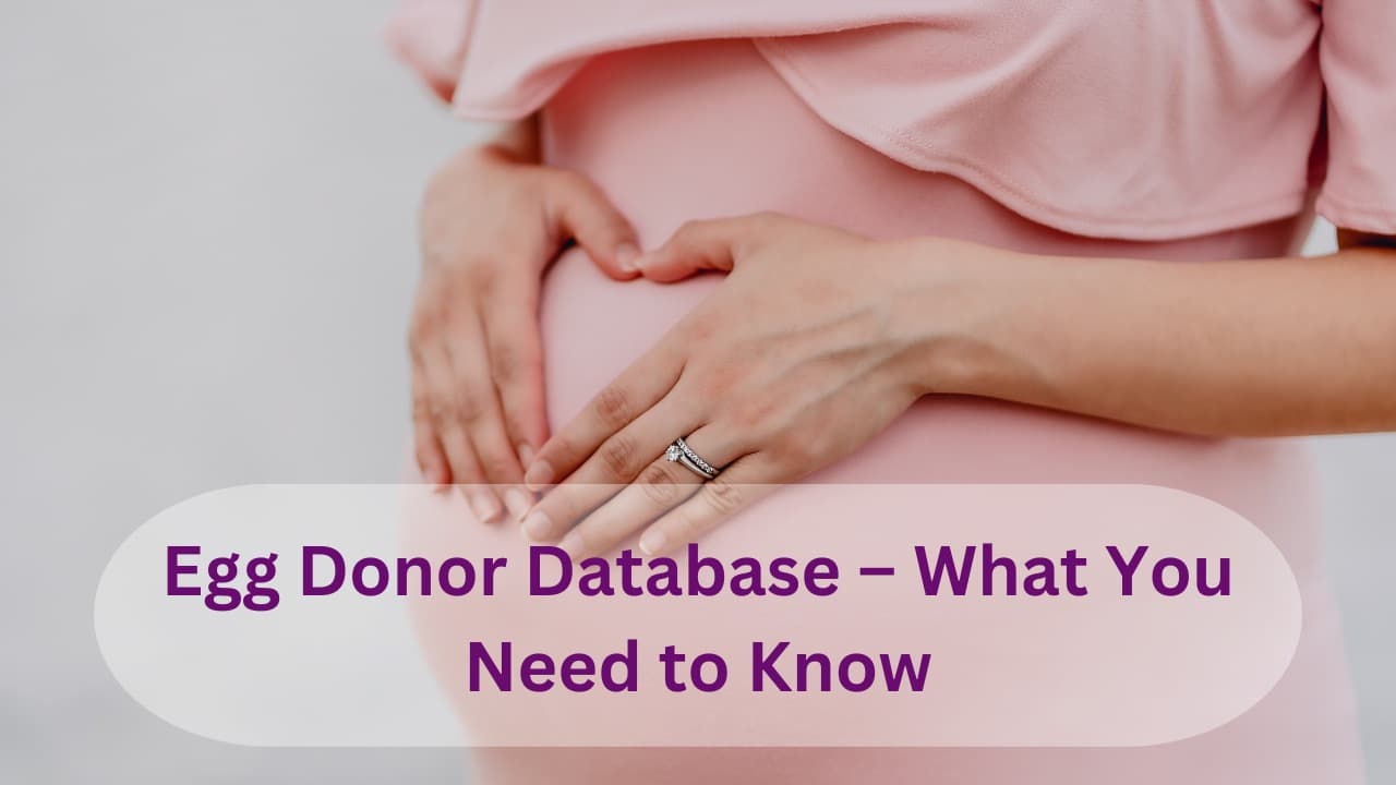 Eggdonor Database – hva du trenger å vite
